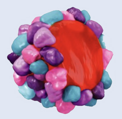Strawberry Grape Nerds Gummy Clusters